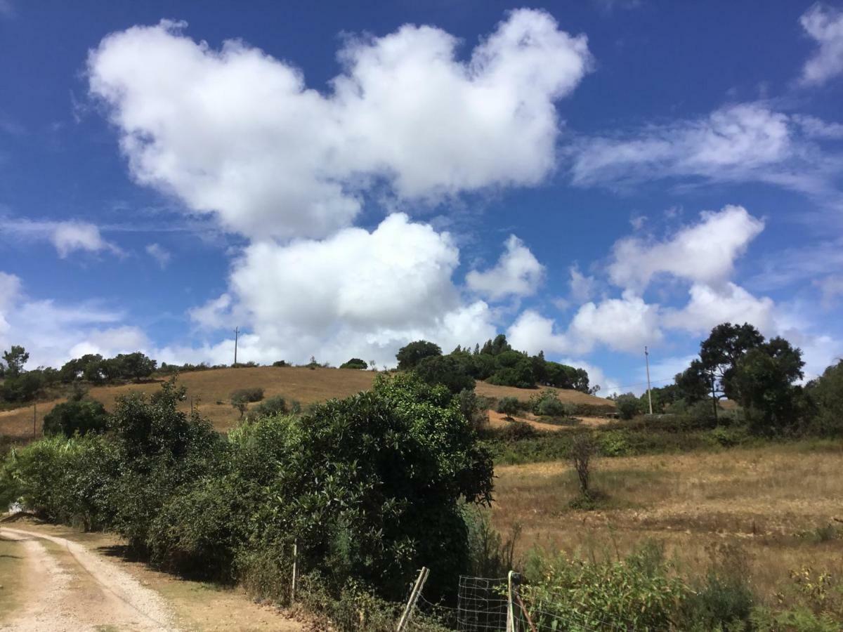Cercal do Alentejo Quinta Boavista 빌라 외부 사진