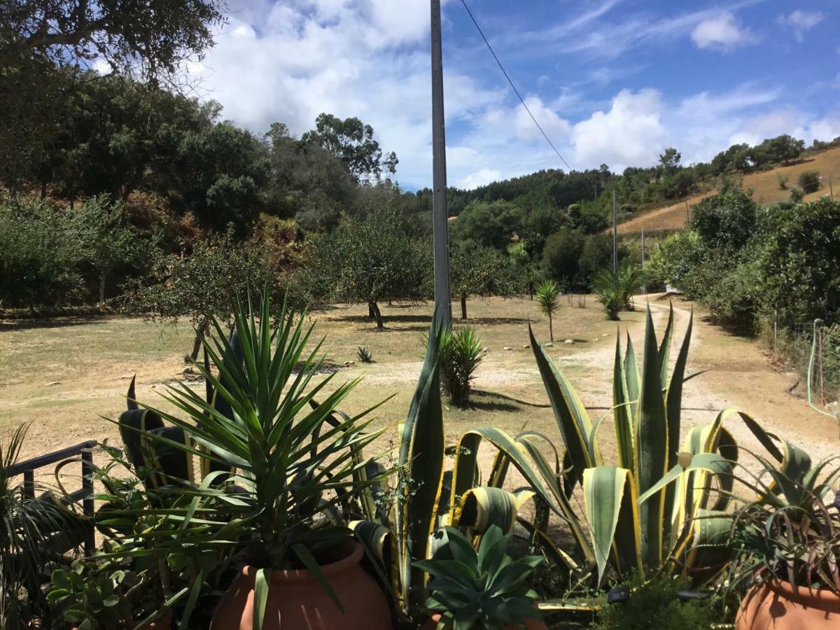 Cercal do Alentejo Quinta Boavista 빌라 외부 사진