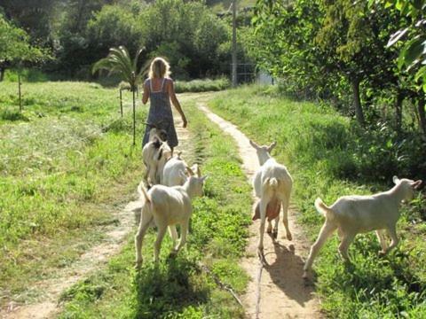 Cercal do Alentejo Quinta Boavista 빌라 외부 사진